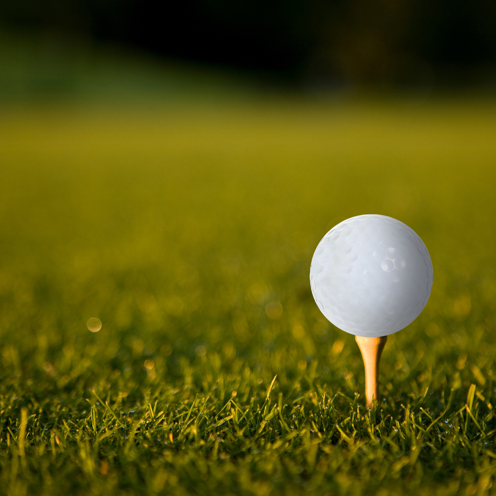 Golf Equipment Beginners - Мячи для гольфа для тренировок в